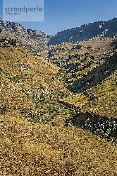 Landschaftlich spektakuläre Drakensberge ragen bis auf 3482 m auf  Ukhahlamba-Drakensberg Park  Südafrika