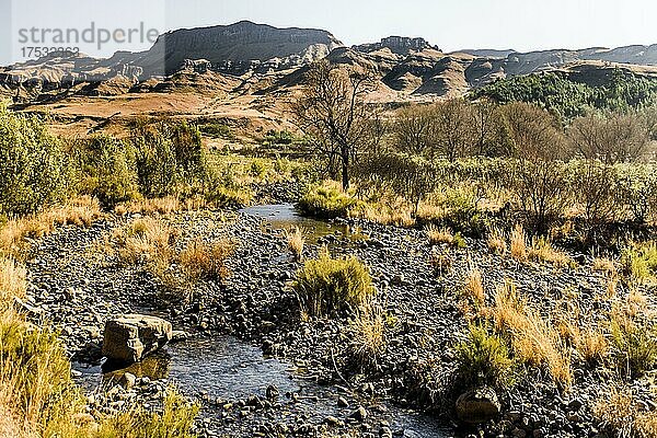 Landschaftlich spektakuläre Drakensberge ragen bis auf 3482 m auf  Ukhahlamba-Drakensberg Park  Südafrika