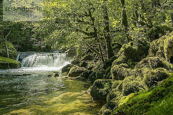 Wasserfall und moosbewachsene Felsen  Source de la Loue  Loue  Mouthier-Haute-Pierre  Département Doubs  Bourgogne-Franche-Comté  Jura  Frankreich  Europa