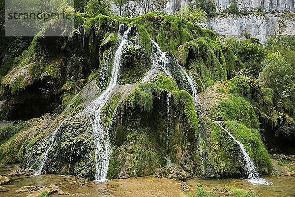 Wasserfall und moosbedeckte Felsen  Cascades des Tufs  Baume-les-Messieurs  Departement Jura  Bourgogne-Franche-Comté  Jura  Frankreich  Europa