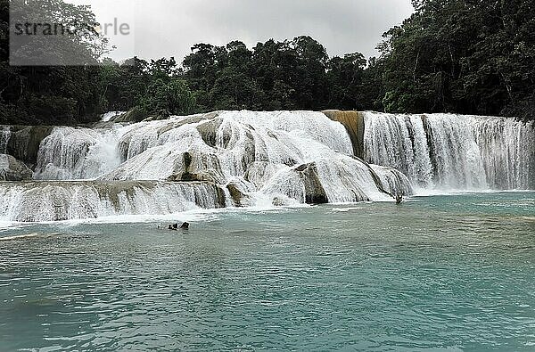 Türkisfarbenes Wasser bei den Cataratas de Agua Azul  Wasserfälle des blauen Wassers  Palenque  Chiapas  Mexiko  Mittelamerika