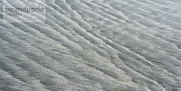 Sand mit Rippeln  Niedersächsisches Wattenmeer  Nordsee  Ostfriesland  Niedersachsen  Deutschland  Europa