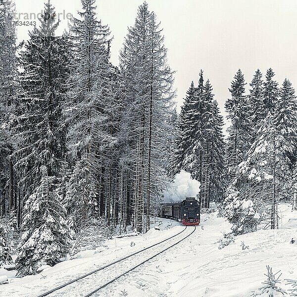 Brockenbahn in verschneitem Wald  Nationalpark Harz  Schierke  Wernigerode  Landkreis Harz  Sachsen-Anhalt  Deutschland  Europa
