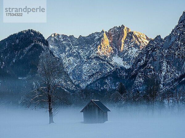 Winterlandschaft im Nebel  hinten großer Ödstein bei Sonnenuntergang  Nationalpark Gesäuse  Steiermark  Österreich  Europa