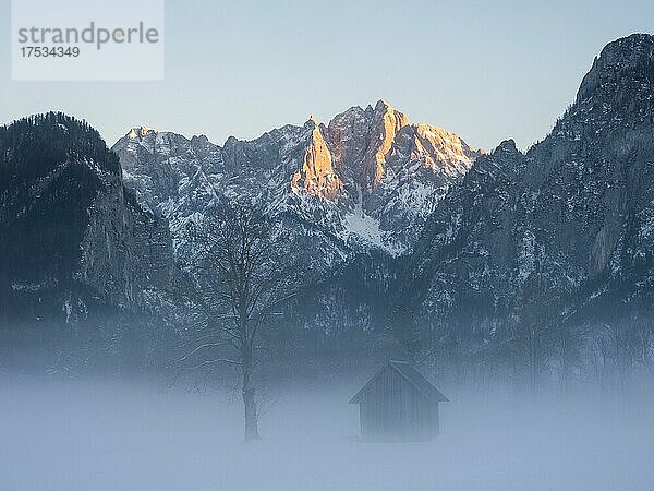 Winterlandschaft im Nebel  hinten großer Ödstein bei Sonnenuntergang  Nationalpark Gesäuse  Steiermark  Österreich  Europa