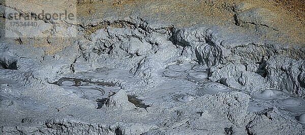 Blubbernder Schlamm  vulkanisches Geothermiefeld  Myvatn  Nordisland  Island  Europa