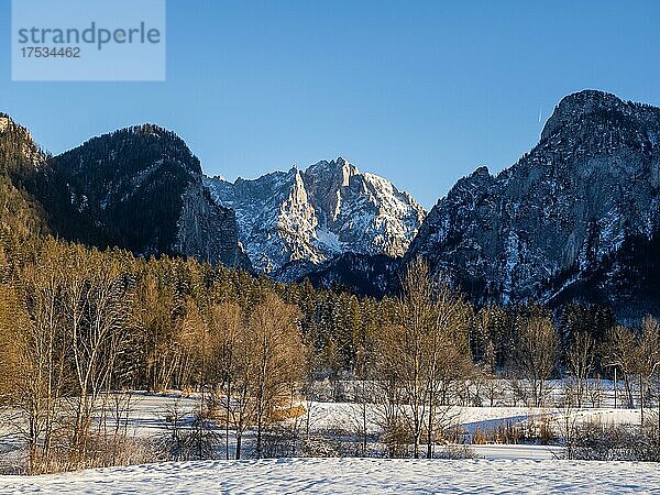 Winterlandschaft  Gesäuseeingang  hinten Großer Ödstein  Nationalpark Gesäuse  Steiermark  Österreich  Europa