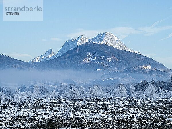 Winterlandschaft  Pürgschachen Moor im Winter  verschneite Berggipfel im Gesäuse  Ardning  Steiermark  Österreich  Europa