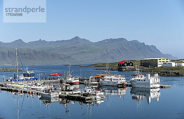 Hafen von Djúpivogur  Austurland  Island  Europa