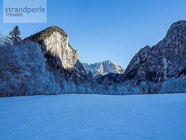 Winterlandschaft  Gesäuseeingang  hinten Großer Ödstein  Nationalpark Gesäuse  Steiermark  Österreich  Europa