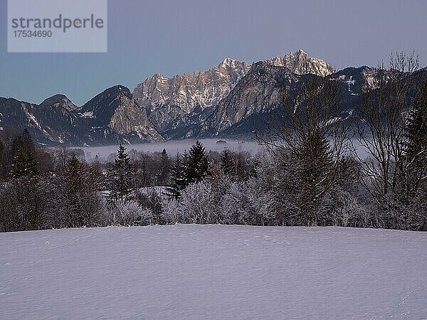 Berggipfel in der Abenddämmerung und Landschaft im Nebel  Nationalpark Gesäuse  Steiermark  Österreich  Europa