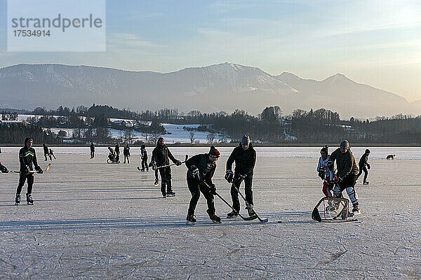 Wintersportler  Schlittschuhe  gefrorener See  Eis  Schnee  Simssee  Bayern  Deutschland  Europa