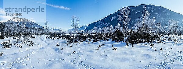 Winterlandschaft  Pürgschachen Moor im Winter  verschneite Berggipfel im Gesäuse  Ardning  Steiermark  Österreich  Europa