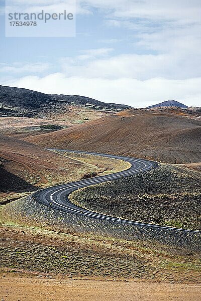 Straße schlängelt sich  Myvatn  Nordisland  Island  Europa