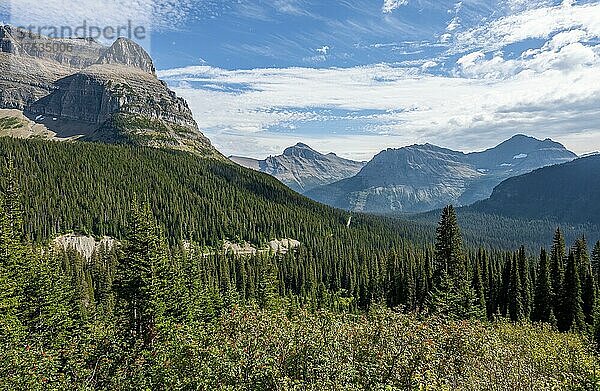 Blick über ein Tal mit Wald  Ausichtspunkt  Going-To-The-Sun-Road  Glacier Nationalpark  Montana  USA  Nordamerika