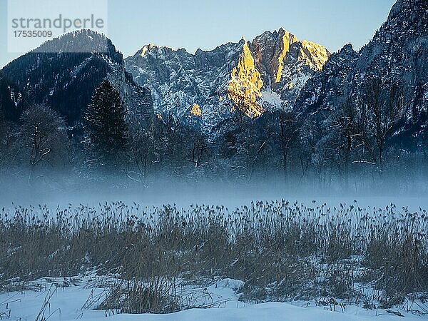 Winterlandschaft im Nebel  Gesäuseeingang  hinten Großer Ödstein bei Sonnenuntergang  Nationalpark Gesäuse  Steiermark  Österreich  Europa