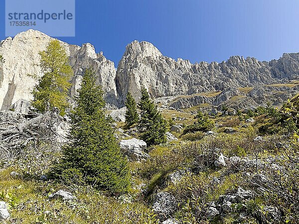 Rosengarten  Dolomiten  Trentino  Südtirol  Italien  Europa