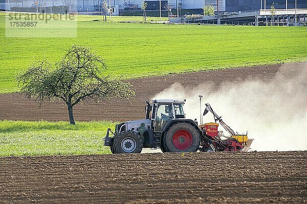 Traktor mit Sämaschine auf dem Feld im Frühjahr  Baden-Württemberg  Deutschland  Europa