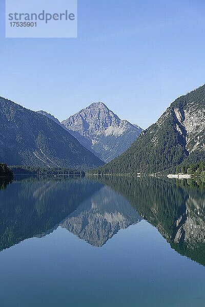 Plansee  Spiegelung  Heiterwang  Tirol  Österreich  Europa