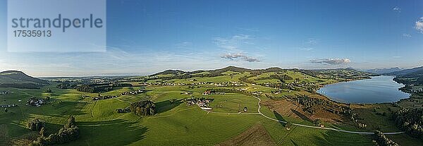 Drohnenaufnahme  Agrarlandschaft mit Bauernhöfen bei der Ortschaft Laiter am Irrsee  Salzkammergut  Oberösterreich  Österreich  Europa