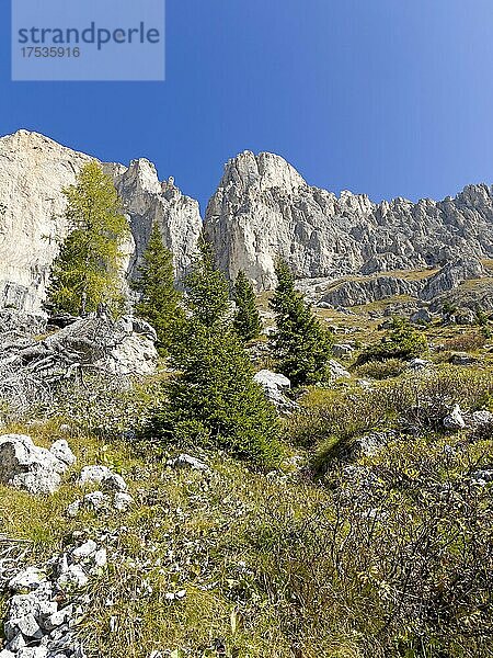 Rosengarten  Dolomiten  Trentino  Südtirol  Italien  Europa