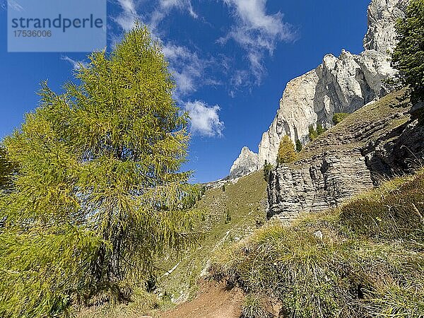 Rosengarten  Dolomiten  Trentino  Südtirol  Italien  Europa