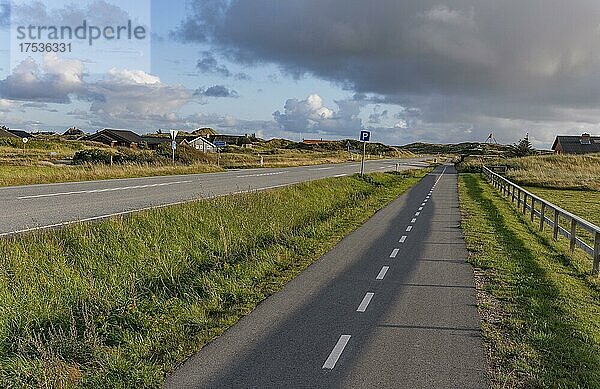 Hauptverkehrsstrasse 181 mit Fahrradweg bei Hvide Sande  Dänemark  Europa