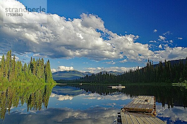 Bäume und Wolken spiegeln sich im glatten Wasser eines Sees  Idyll  typisch Kanada  Prince George  British Columbia  Kanada  Nordamerika