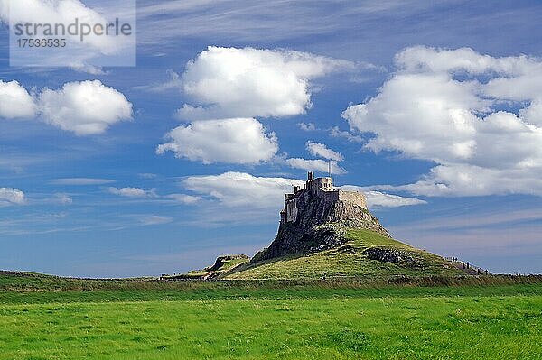 Burg auf Hügel über dem Meer  weite Wiesenlandschaft  Lindisfarne Castle  Holy Island  England  Großbritannien  Europa