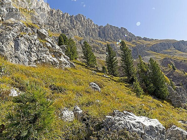 Rosengarten  Dolomiten  Trentino  Südtirol  Italien  Europa