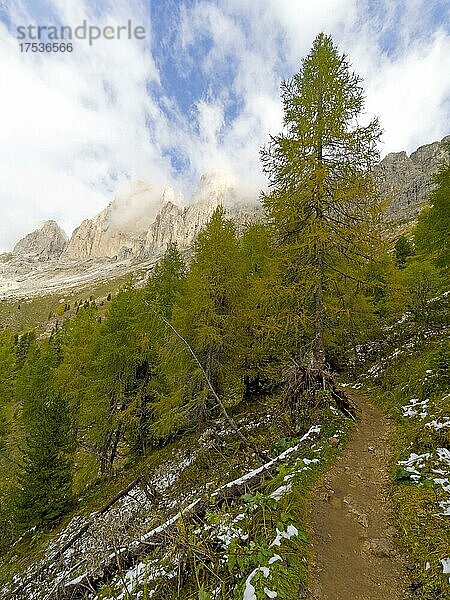 Wanderweg  Rosengarten  Dolomiten  Trentino  Südtirol  Italien  Europa