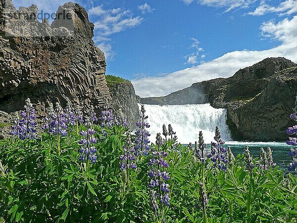 Wasserfall  Island  Europa