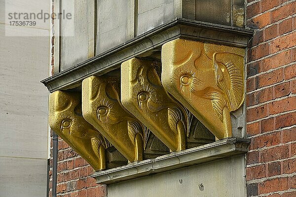Elefanten  Detail  Robinson Crusoe Haus  Böttcherstraße  Altstadt  Bremen  Deutschland  Europa