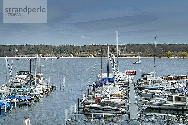 Yachthafen Heckeshorn  Wannsee  Steglitz-Zehlendorf  Berlin  Deutschland  Europa