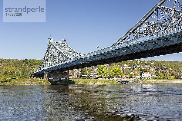 Brücke Blaues Wunder über die Elbe mit Blick auf den Elbhang von Loschwitz  Dresden  Sachsen  Deutschland  Europa