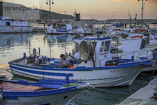 Boote  Fischerhafen  Castellammare del Golfo  Sizilien  Italien  Europa