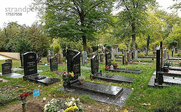 Jüdischer Friedhof  Puschkinallee  Pfingstberg  Potsdam  Brandenburg  Deutschland  Europa
