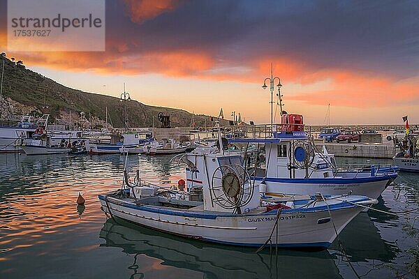 Boote  Fischerhafen  Castellammare del Golfo  Sizilien  Italien  Europa