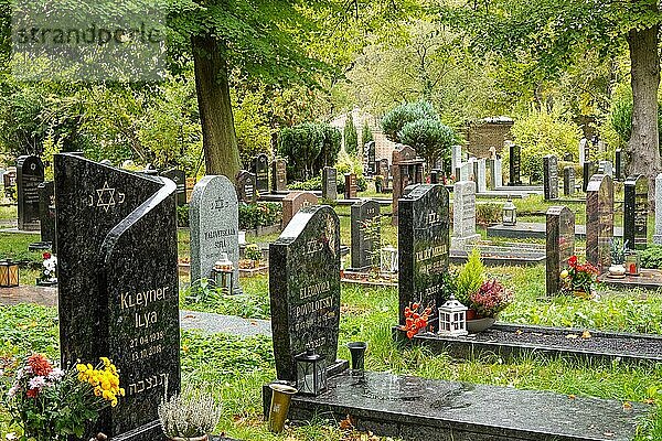 Jüdischer Friedhof  Puschkinallee  Pfingstberg  Potsdam  Brandenburg  Deutschland  Europa