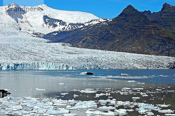Gletscher Svínafellsjökull  Island  Europa