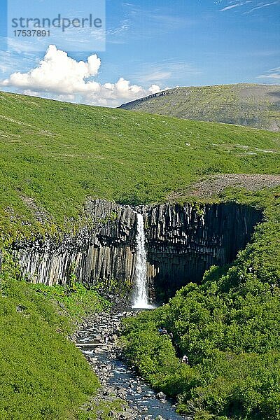 Svartifoss Wasserfall im Skaftafell Nationalpark  Island  Europa