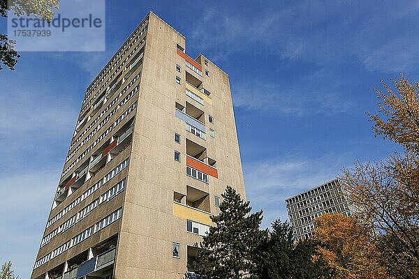 Punkt-Hochhaus (van den Broek) (Bakema)  Hansaviertel  Mitte  Berlin  Deutschland  Europa