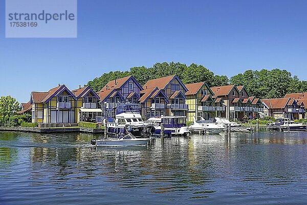 Ferienpark Rheinsberger Hafendorf  Rheinsberg  Landkreis Ostprignitz-Ruppin  Brandenburg  Deutschland  Europa