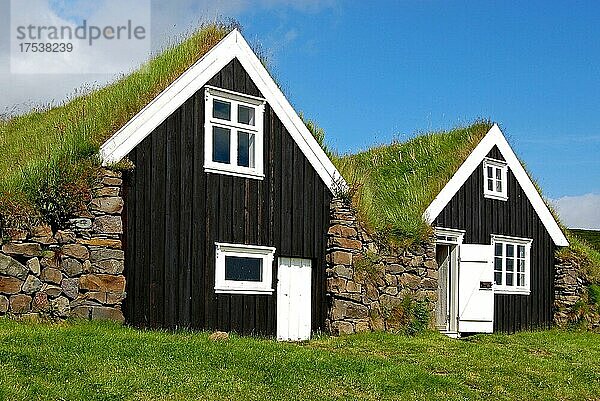 Grassodenhäuser im Skaftafell Nationalpark  Island  Europa