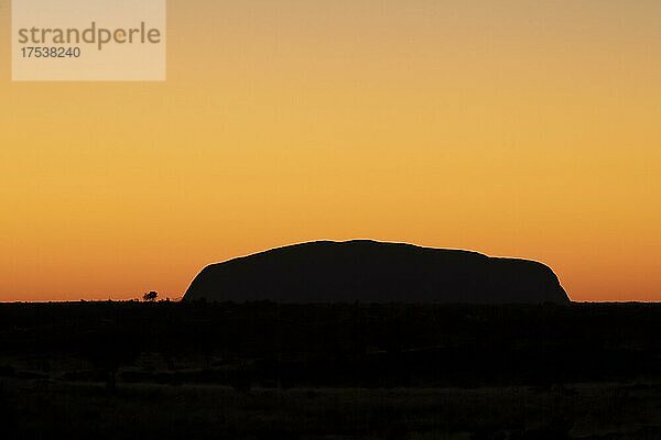 Uluru bei Sonnenaufgang  Uluru-Kata Tjuta National Park  Northern Territory's  Australien  Ozeanien
