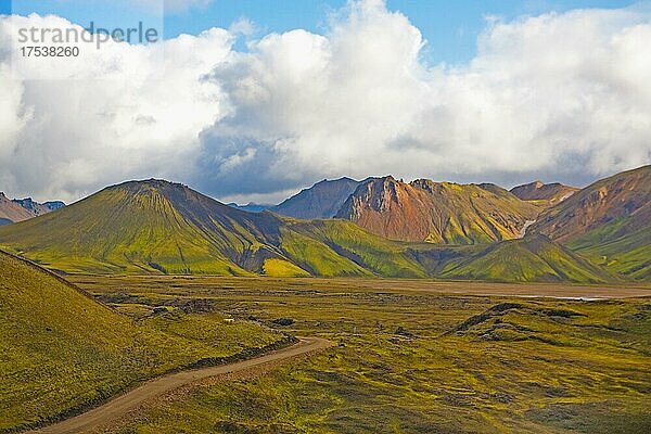 Farbenprächtiges Hochland in Landmannalaugar  Island  Europa