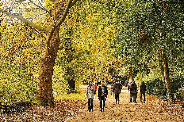 Spaziergänger im Tiergarten  herbstlich  Mitte  Berlin  Deutschland  Europa