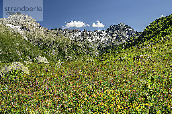 Grüne Wiese inmitten von Bergen an einem sonnigen Tag  Nationalpark Ecrins  Frankreich