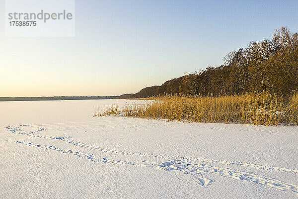 Footprints on snow covered terrain at dusk