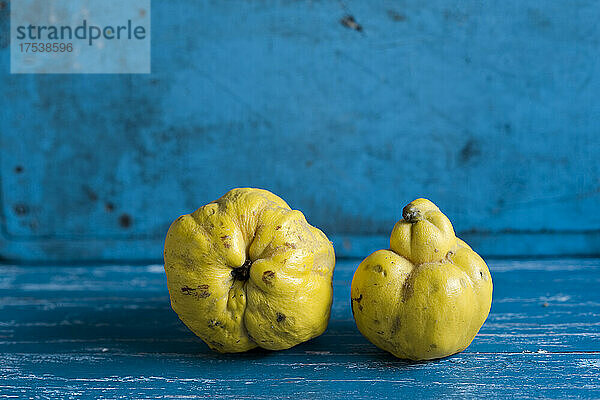 Studio shot of two ripe quinces lying on blue wooden surface